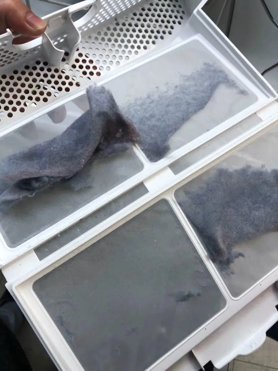 为什么房子里总有小毛毛,为什么房子里面会长蘑菇科学探究