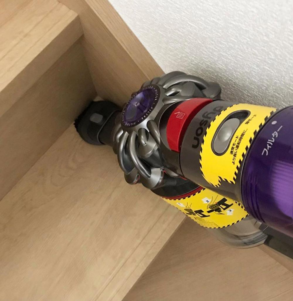 为什么房子里总有小毛毛,为什么房子里面会长蘑菇科学探究