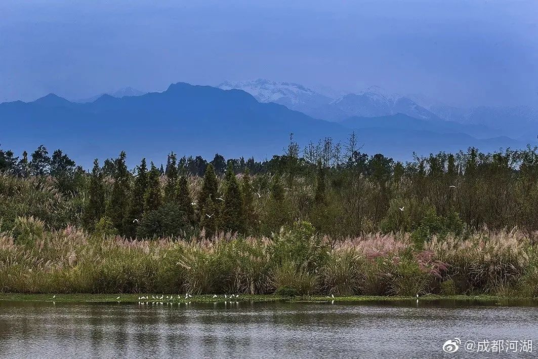 成都一日游打卡必备,成都网红打卡景点一日游
