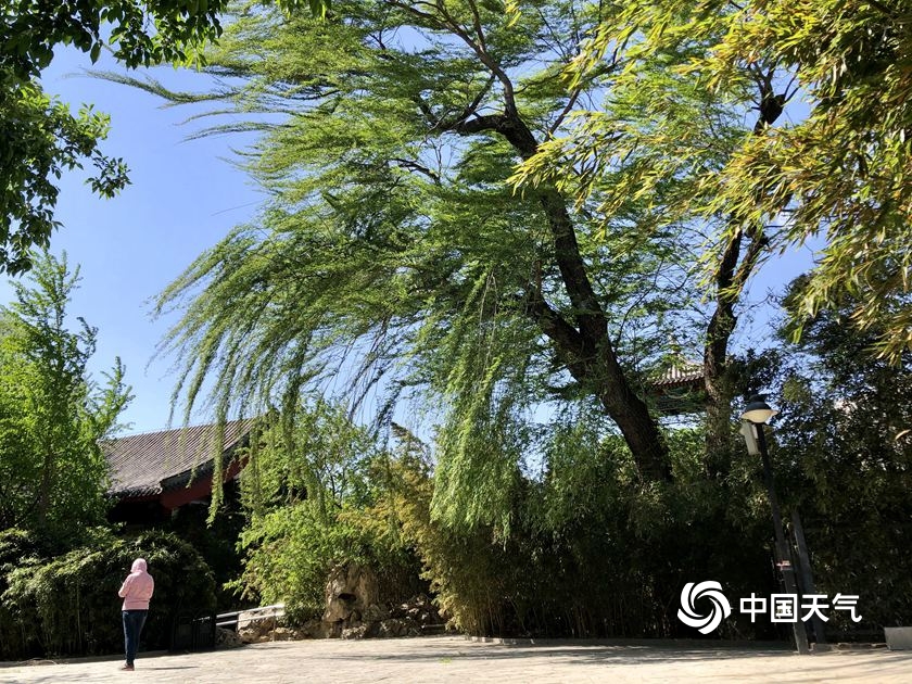 北京8级大风风景图,北京八级大风