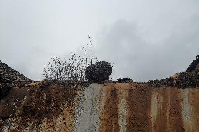 马龙大美水景公园图片,马龙水景公园游乐