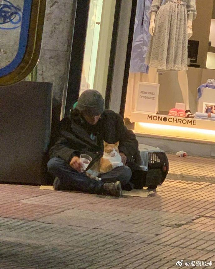 袁咏仪在线辟谣完整视频,袁咏仪辟谣张智霖退圈