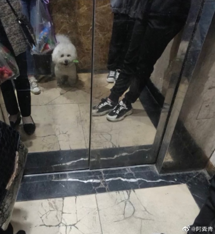 袁咏仪在线辟谣完整视频,袁咏仪辟谣张智霖退圈