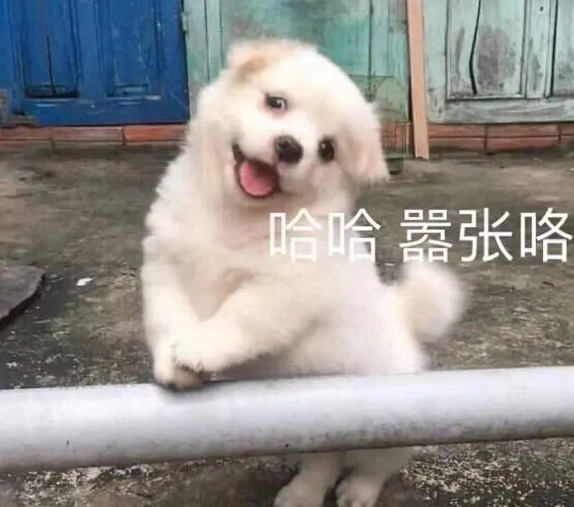 对不起，这件让所有女生尖叫的事我现在才说