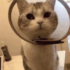 五一逛吃攻略必备,五一出游美食攻略