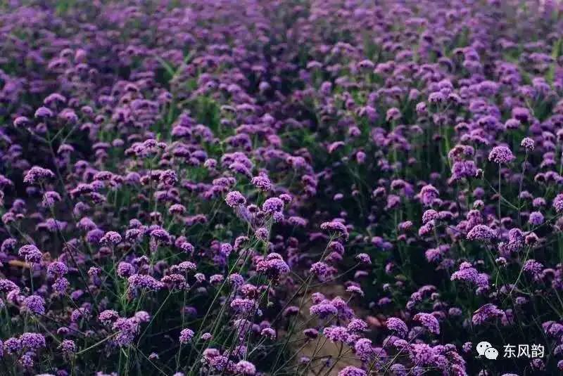 五一逛吃攻略必备,五一出游美食攻略