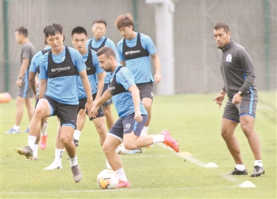 荷兰主帅捂嘴偷笑,2014荷兰主教练评价