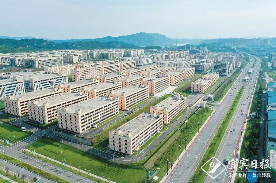 逆势而上,逆势而上视频