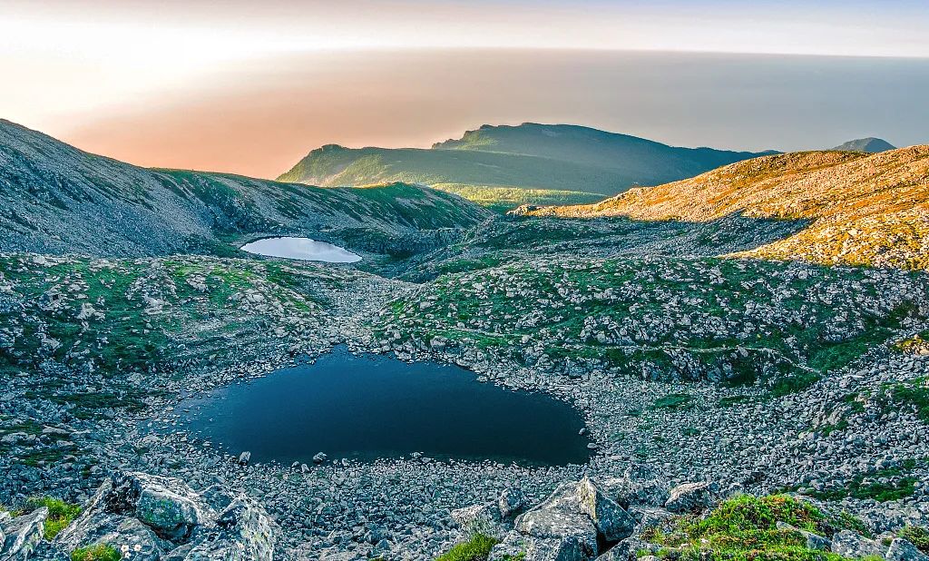 让客来时所见一山碧绿万物竞发