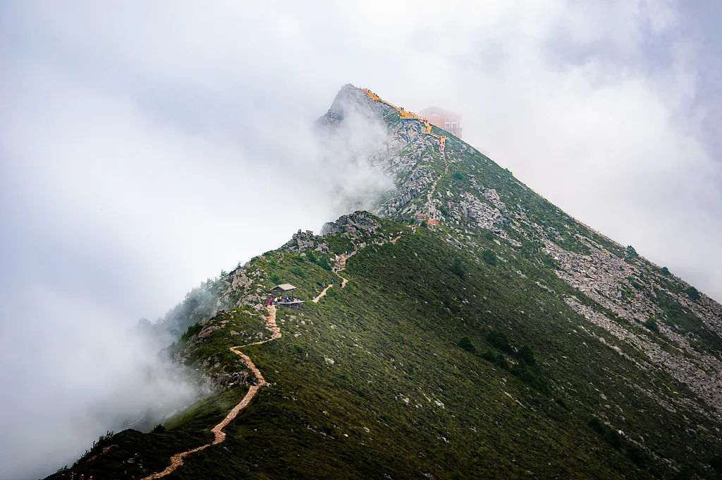 让客来时所见一山碧绿万物竞发