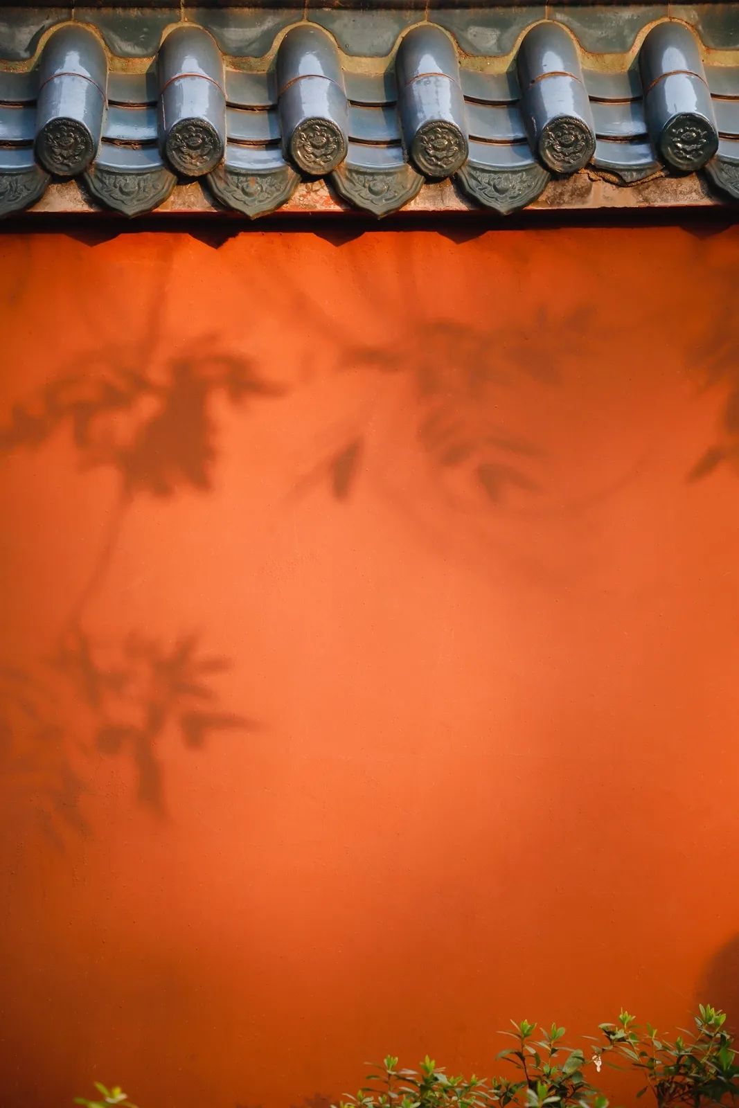 离开学校的第100天,离开校园的第100天