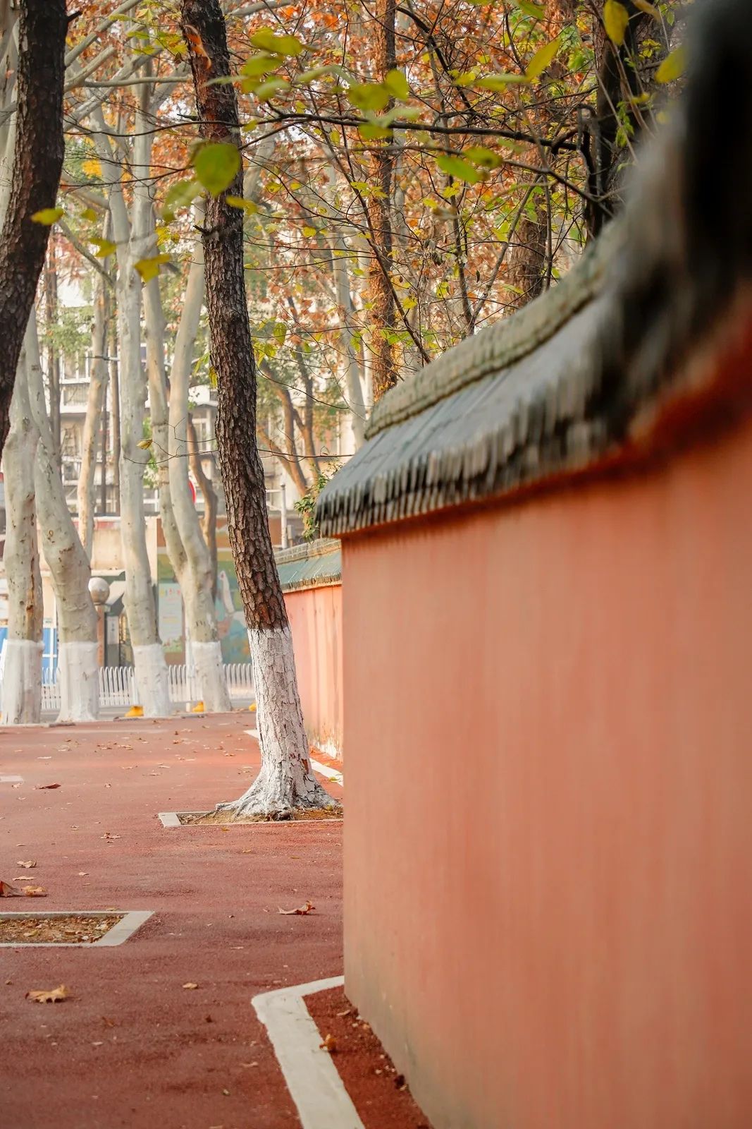 离开学校的第100天,离开校园的第100天