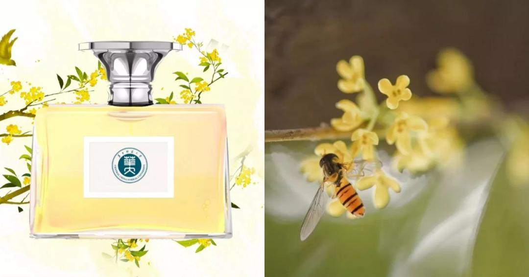 离开学校的第100天,离开校园的第100天