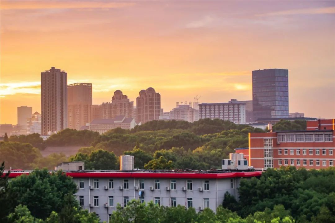 离开学校的第100天,离开校园的第100天