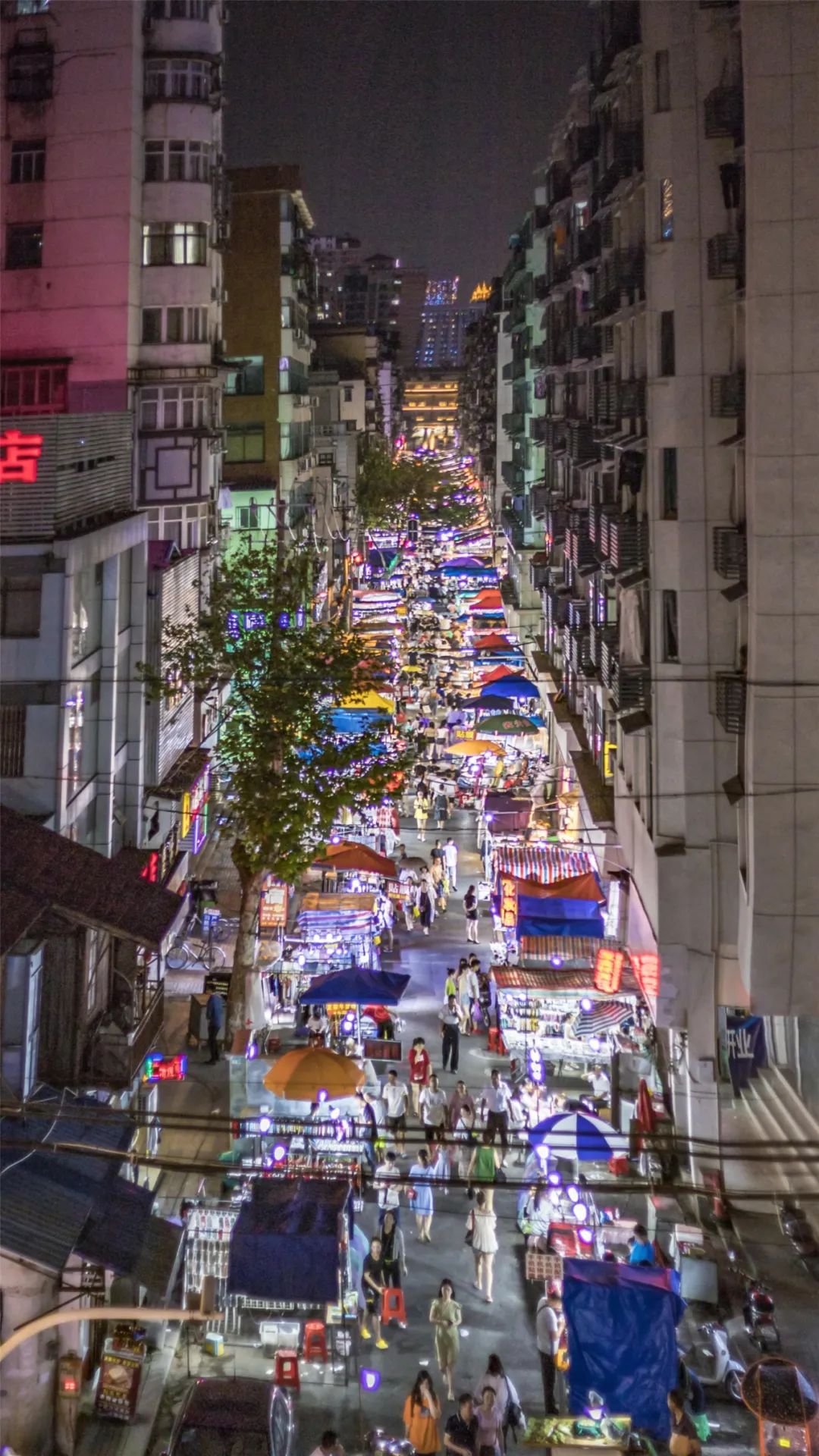 离开学校的第100天,离开校园的第100天