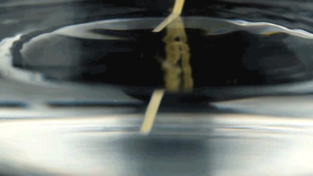 正宗的武汉风味热干面,热干面香辣武汉