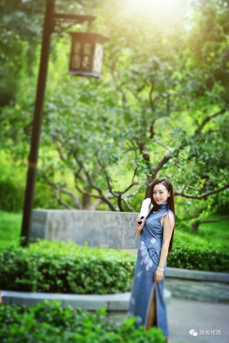 郑长春长篇小说连载：青台镇