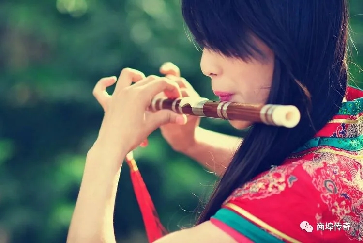 郑长春长篇小说连载：青台镇