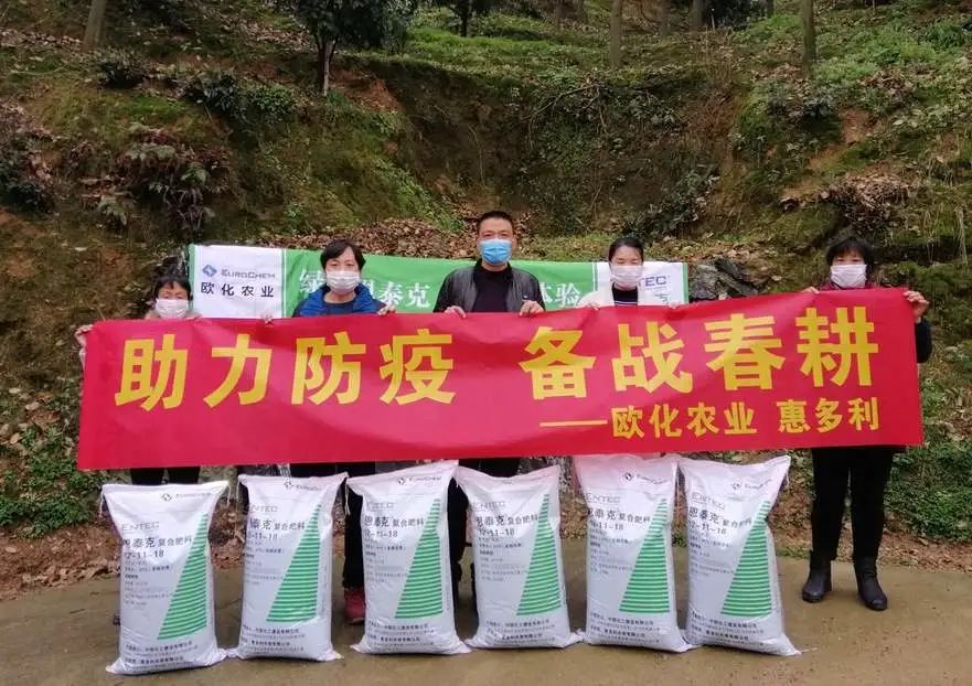 聚焦|抱薪赴雪，“欧化”开启寻爱历程