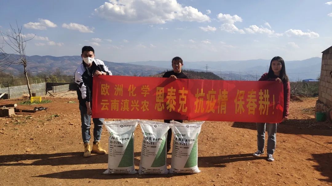 聚焦|抱薪赴雪，“欧化”开启寻爱历程