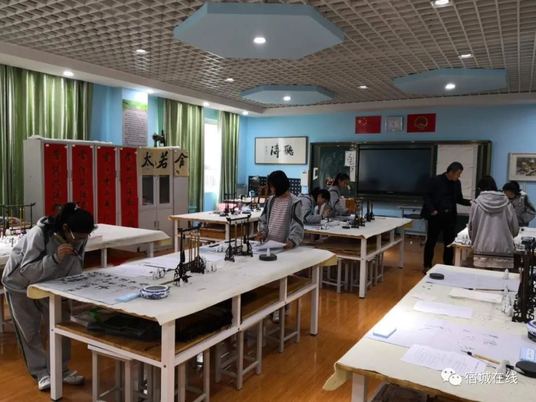 宿城有哪些学校,宿城区学校有哪些