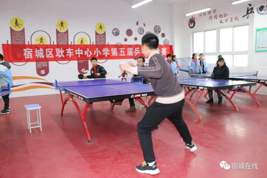 宿城有哪些学校,宿城区学校有哪些