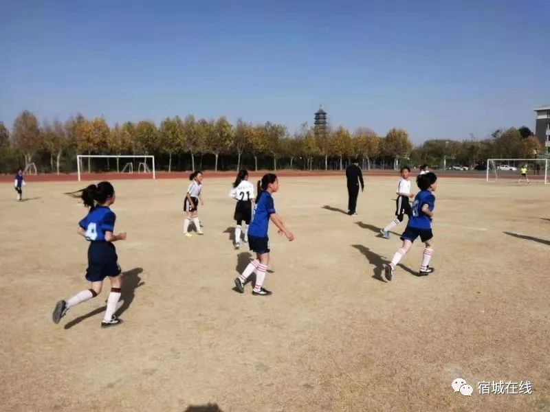 宿城有哪些学校,宿城区学校有哪些