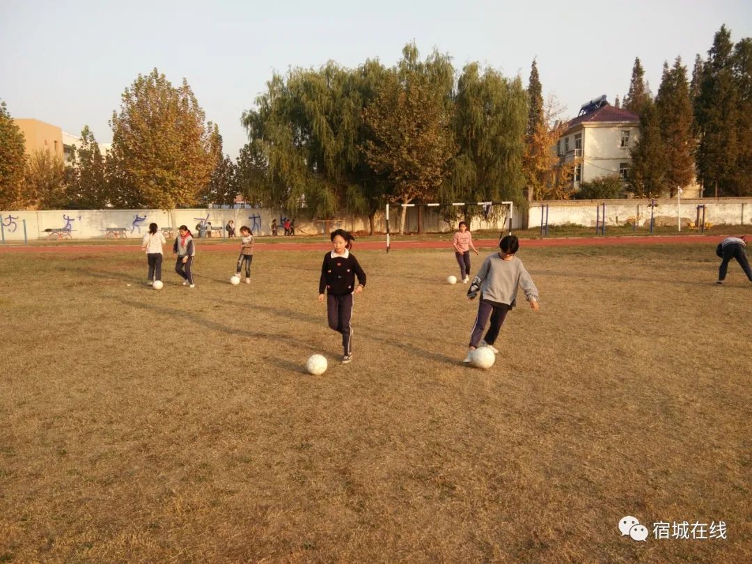 宿城有哪些学校,宿城区学校有哪些