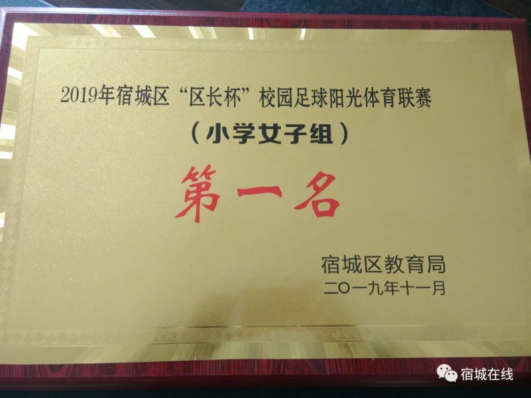 宿城有哪些学校,宿城区学校有哪些