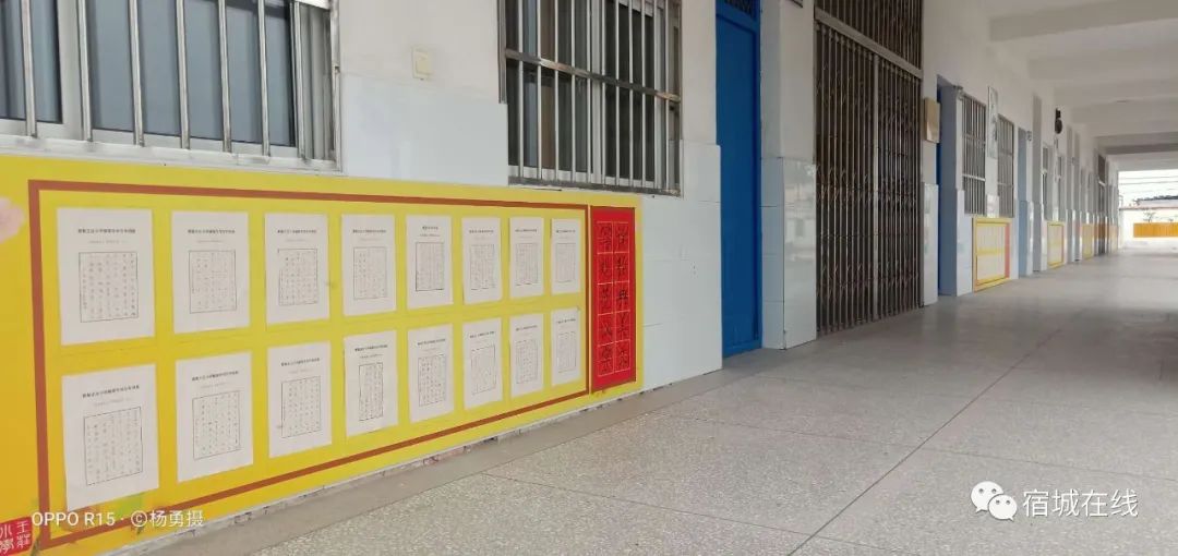 宿城有哪些学校,宿城区学校有哪些