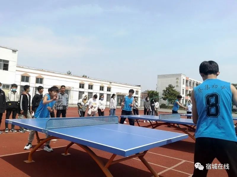 宿城有哪些学校,宿城区学校有哪些