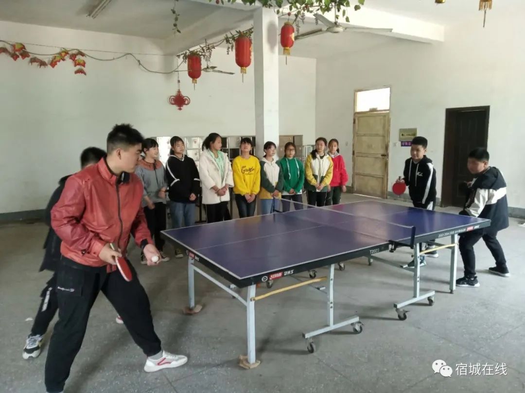 宿城有哪些学校,宿城区学校有哪些