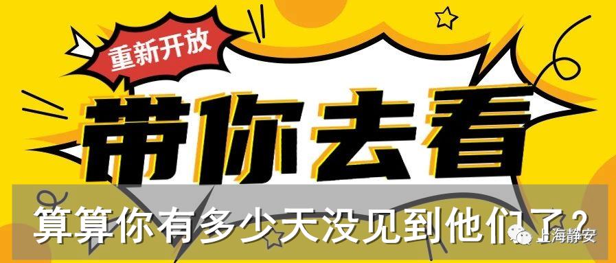 显示退税成功但卡没收到钱,退税后还没收到钱怎么办