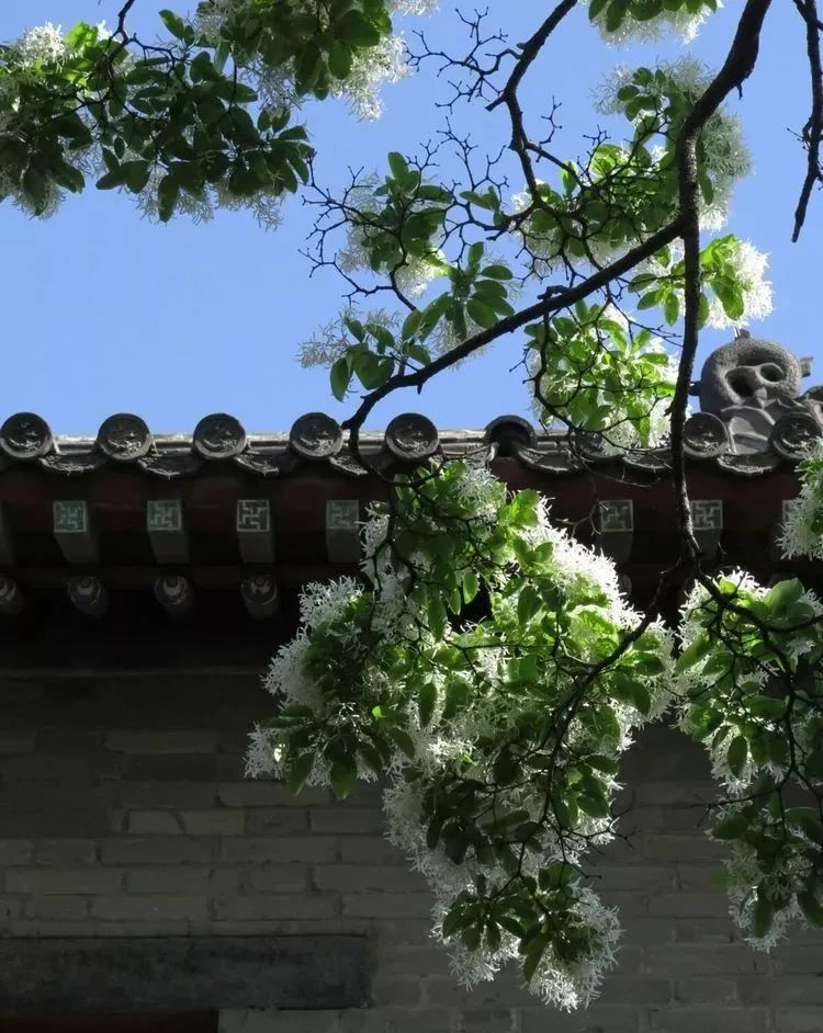 古诗词里看风景,打卡咱济宁的诗与远方