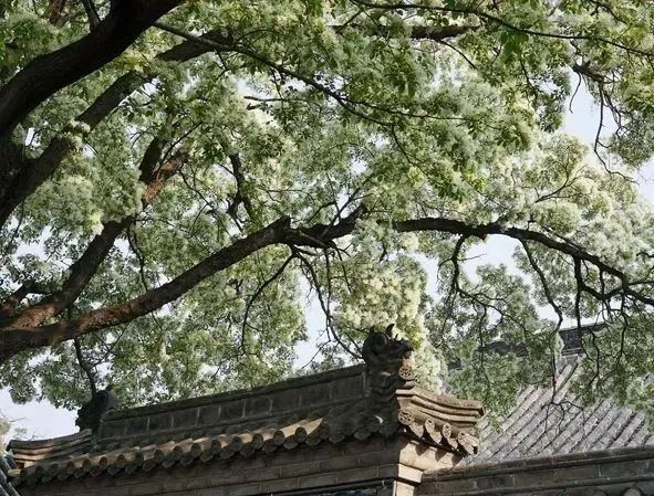 古诗词里看风景,打卡咱济宁的诗与远方