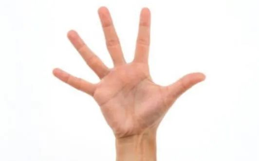 杀猪、狗推、跑分、刷量、网赌，盘点五大新型黑产，快分享给你关心的人