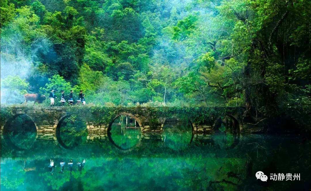 贵州a级景区免门票的原因是什么,贵州省a级景区免门票怎样预约