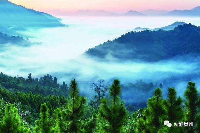 贵州a级景区免门票的原因是什么,贵州省a级景区免门票怎样预约