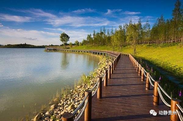 贵州a级景区免门票的原因是什么,贵州省a级景区免门票怎样预约