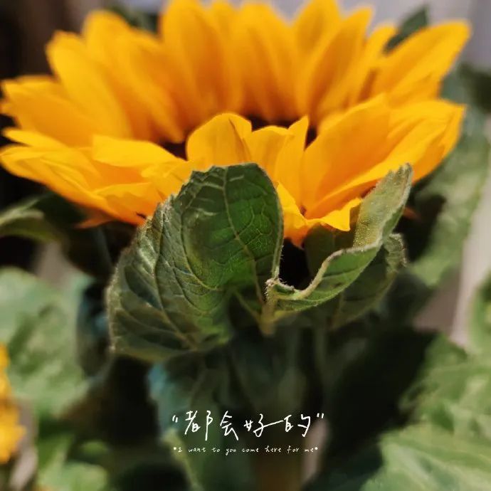 做喜欢的事还能赚钱,为别人创造价值赚钱只是顺便的事