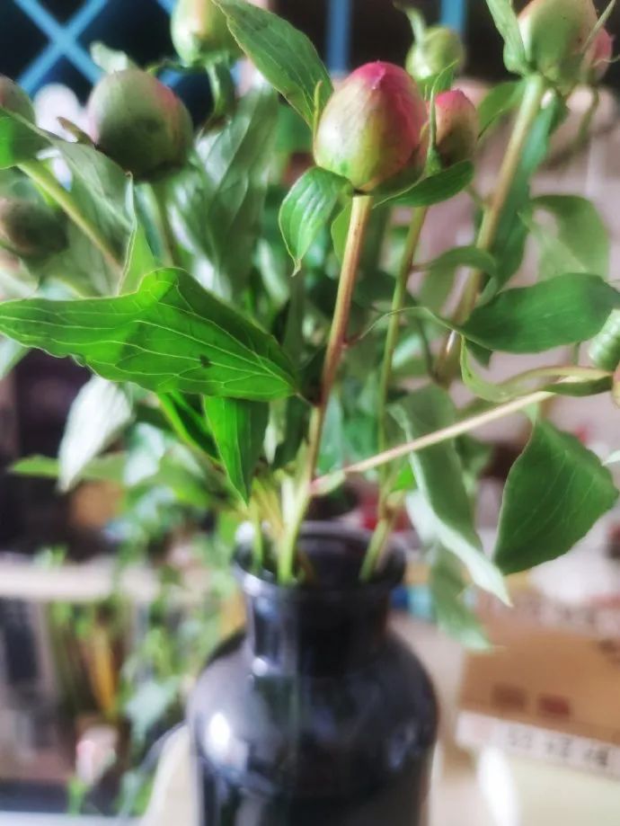 做喜欢的事还能赚钱,为别人创造价值赚钱只是顺便的事