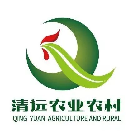 清远盛兴中英文学校高中部环境,清远市盛兴中英文学校好吗