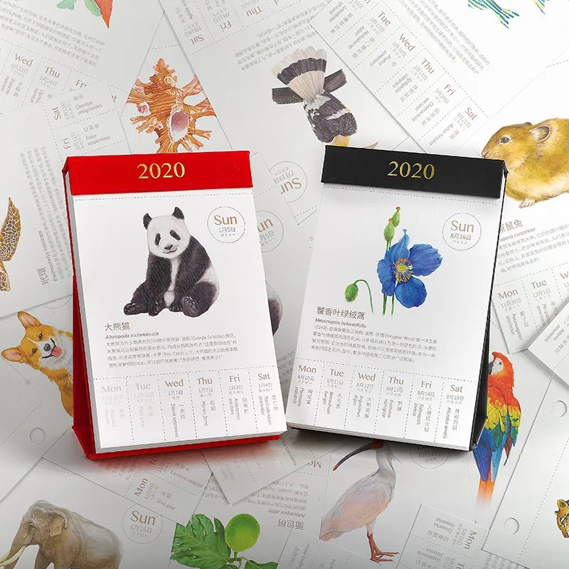 世界读书日我们准备了一大波惊喜 (世界读书日特别篇)