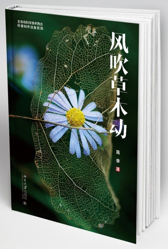 世界读书日宣传简报,全县开展世界读书日活动通知