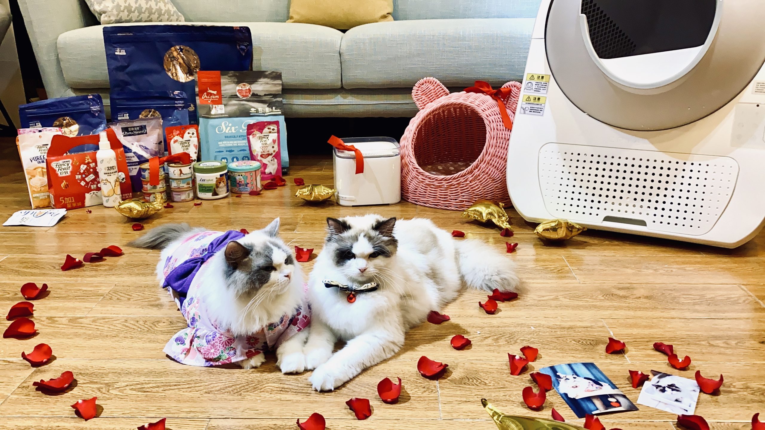 湖北宠物消费增幅,考拉海购宠物攻略