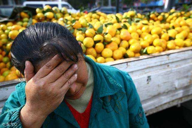 vc含量高的水果且糖低,一个橘子中的vc含量