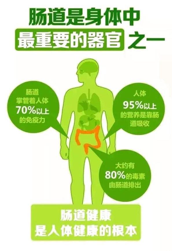 肠镜胃镜体检团购,胃镜优惠活动