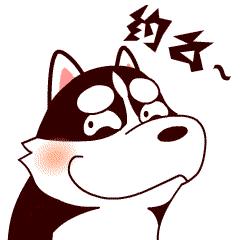 肠镜胃镜体检团购,胃镜优惠活动