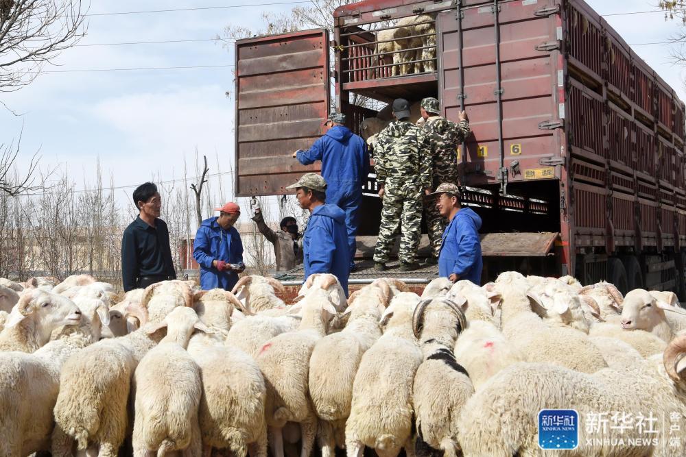 记者手记,记者手记脱贫攻坚