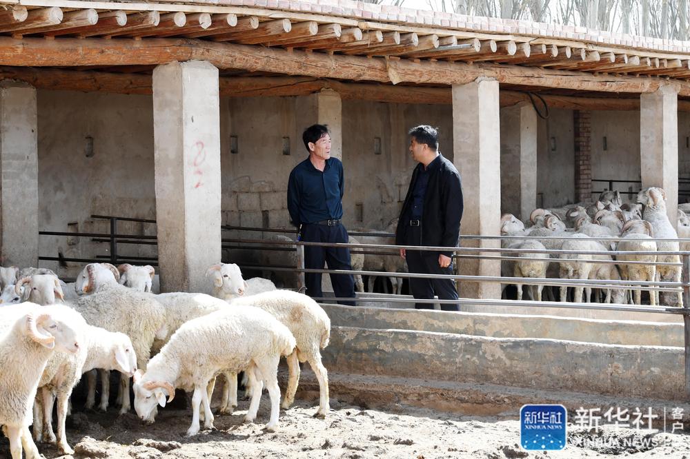 记者手记,记者手记脱贫攻坚